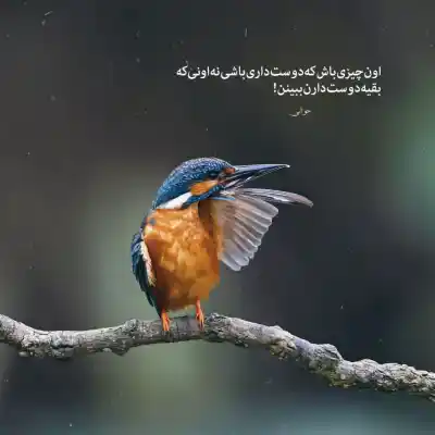دانلود آهنگ  منه گلسین یاریمین قاداسی از ممیش خان