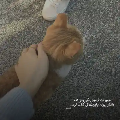 دانلود آهنگ  صداقت گوگوش