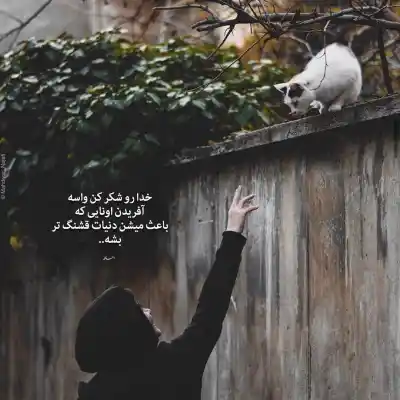 دانلود آهنگ  بگو یارب چه بد گفتم چه بد کردم از هایده