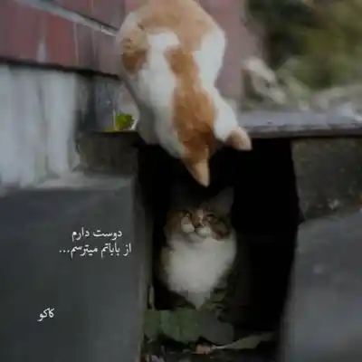 دانلود آهنگ  بگو چند این حس بین اشک و لبخند