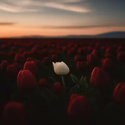 دانلود آهنگ  دلبر خوش مهارت فرزاد فرخ