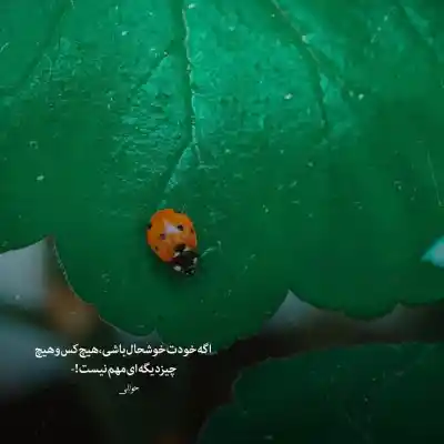 دانلود آهنگ  دورت بگردم علی عبدالمالکی