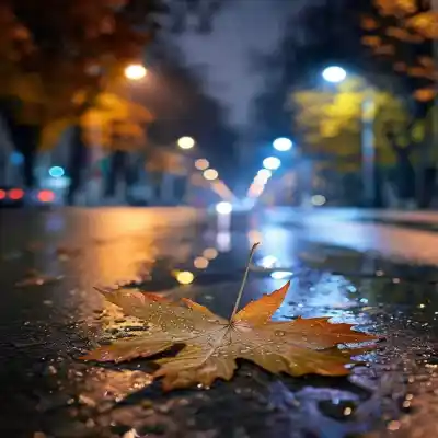 دانلود آهنگ  اﻣﺸﺐ در ﺳﺮ ﺷﻮری دارم اﻣﺸﺐ در دل ﻧﻮری دارم