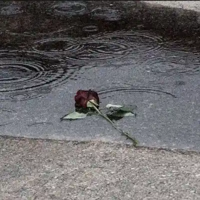 دانلود آهنگ  فقط منم منم کردی شاید فکر کنی منو ادب کردی