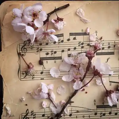 دانلود آهنگ جدید قلبم گرفت ای نازنین هایده کیفیت بالا mp3 دانلود آهنگ قلبم گرفت ای نازنین هایده