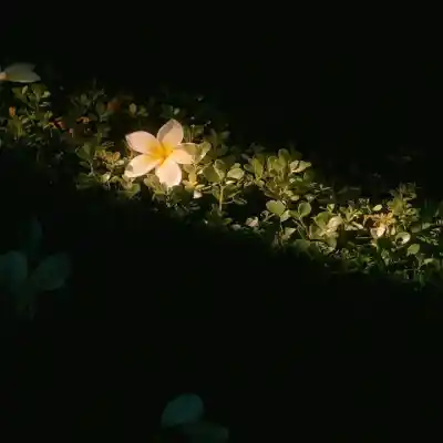 دانلود آهنگ  گل من مهریار