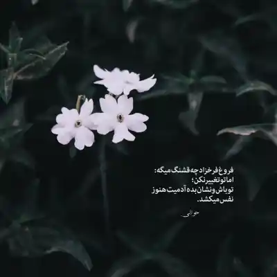 دانلود آهنگ  ای همراه من تنها با تو با صدای هلن