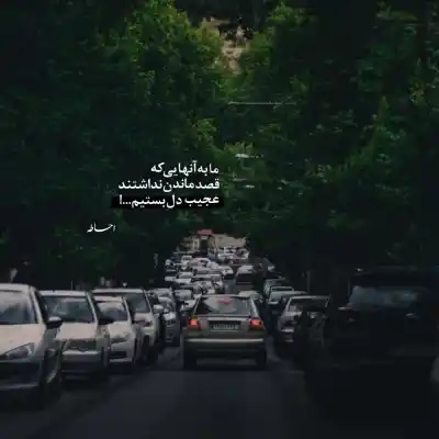 دانلود آهنگ  بارون نم نم چترو خیابون از مهدی شکوهی