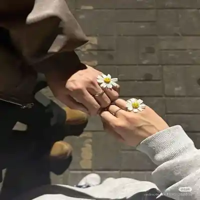 دانلود آهنگ  خانومی شاخه نبات