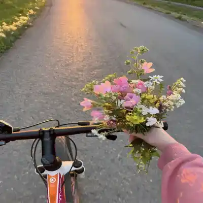دانلود آهنگ  ماه شب تار مجتبی دربیدی