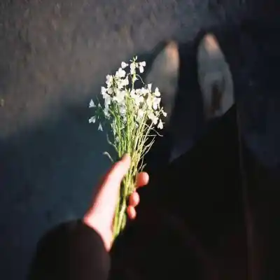 دانلود آهنگ  نازنین ناز نکن درو روکسی باز نکن نریمان