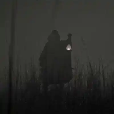 دانلود آهنگ  بیشه از راشد علی سورنا بهرام شایع یاسر بینام