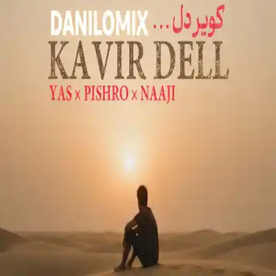 دانلود ریمیکس کویر دل ازرضا پیشرو یاس ناجی MP3 کیفیت 320 دانلود آهنگ کویر دل ازرضا پیشرو یاس ناجی