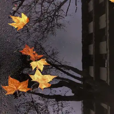 دانلود آهنگ  عجب نازی داره دلبر شهرام شب پره
