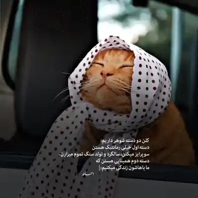 دانلود آهنگ  به من بگو دروغاتو از خواننده سوزان روشن