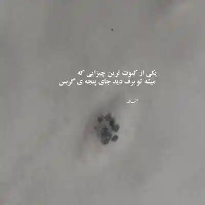 دانلود آهنگ  یا برگرد یا این دل را برگردان سالار عقیلی