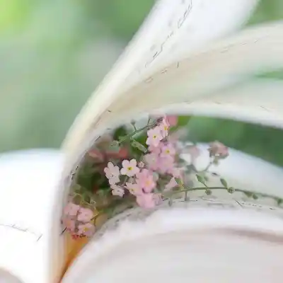 دانلود آهنگ  اگه چشمات منو میخواست معین