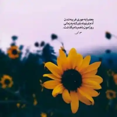 دانلود آهنگ  امشب زده به سرم که دل تورو ببرم دورت بگردم