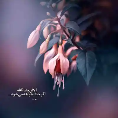 دانلود آهنگ  هنوزم دوستت دارم از مهستی